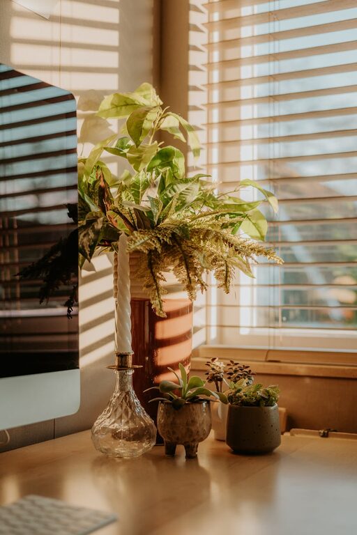 Create a Cozy and Functional Home Office: Practical Tips